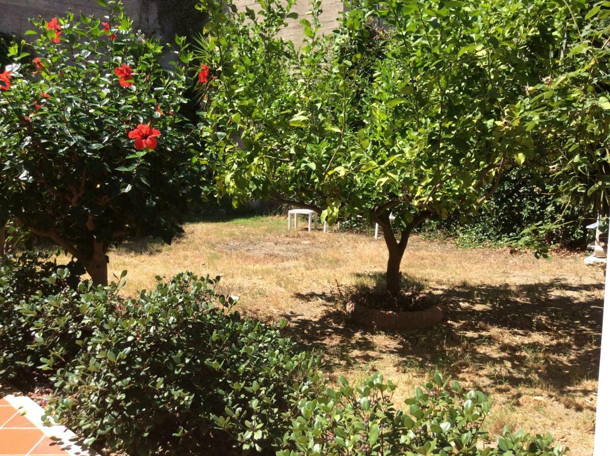 מסינה Villa Serena מראה חיצוני תמונה
